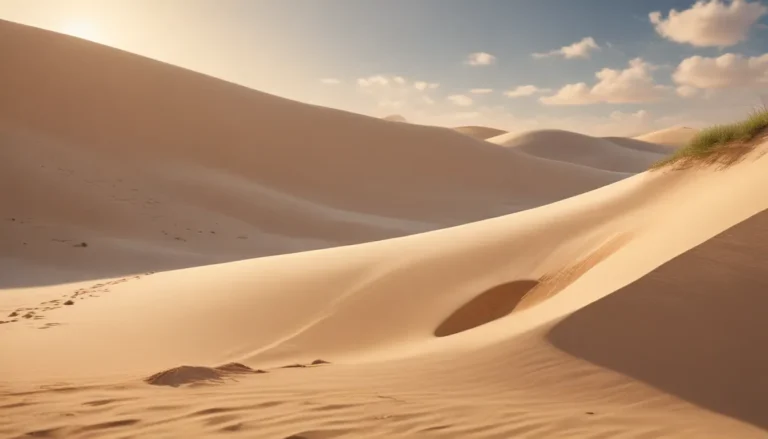 Unveiling the Wonders of Sand: 9 Intriguing Facts